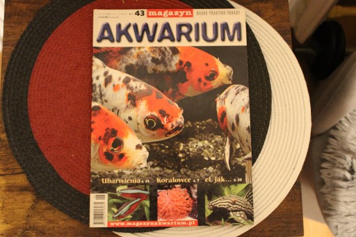 Zdjęcie oferty: Akwarium-Nr.6 - czerwiec 2005_Magazyn -Jak nowe 