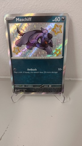 Zdjęcie oferty: Maschiff (SVP 071) | Pokemon TCG