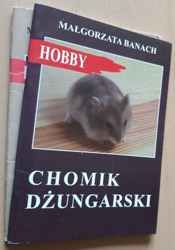 Zdjęcie oferty: Chomik syryjski, chomik dżungarski   