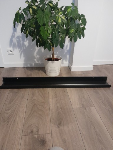 Zdjęcie oferty: Półka Ikea Mosslanda 115 cm czarna 3 sztuki