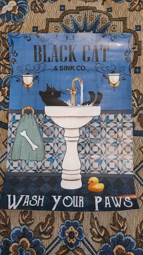 Zdjęcie oferty: Plakat Black Cat & Sink CO