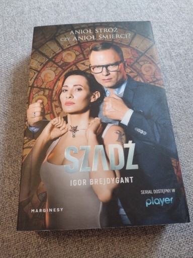 Zdjęcie oferty: Igor Brejdygant  Szadż