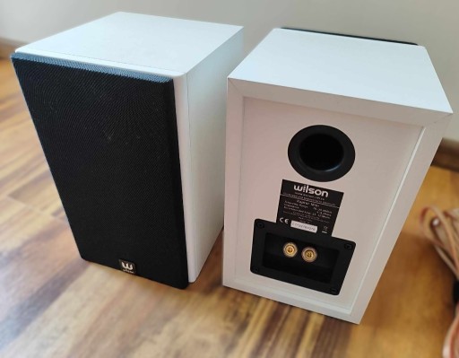 Zdjęcie oferty: Kolumny białe Wilson Raptor Mini - 10 lat gwarancji!