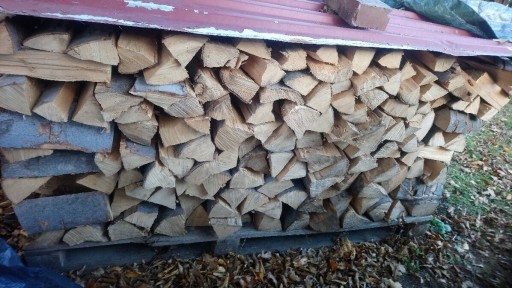 Zdjęcie oferty: Drewno do wedzenia bukowe  22-24kg suche Ognisko
