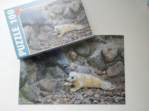 Zdjęcie oferty: Puzzle zwierzeta 100 elementów foka