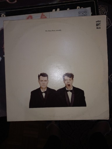 Zdjęcie oferty: Plyta winylowa Pet Shop Boys