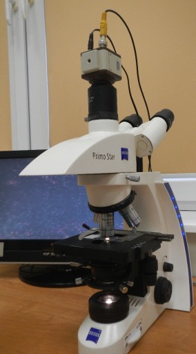 Zdjęcie oferty: Mikroskop kontrastowo-fazowy z torem wizyjnym 