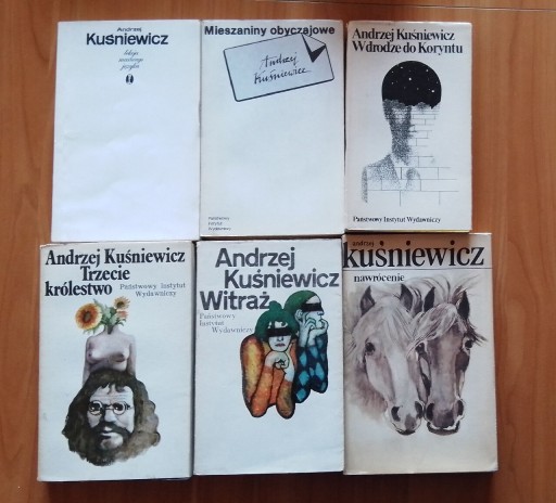 Zdjęcie oferty: Zestaw książek -. Andrzej Kuśniewicz x 6