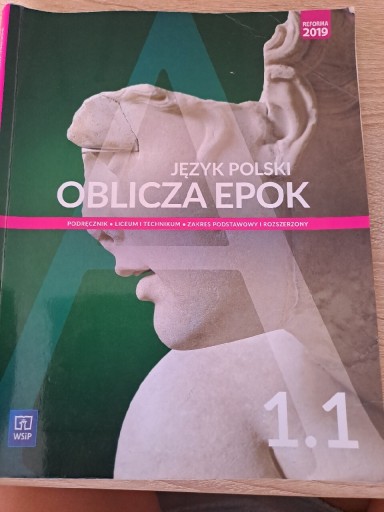 Zdjęcie oferty: Podręcznik do  j .polskiego kl1