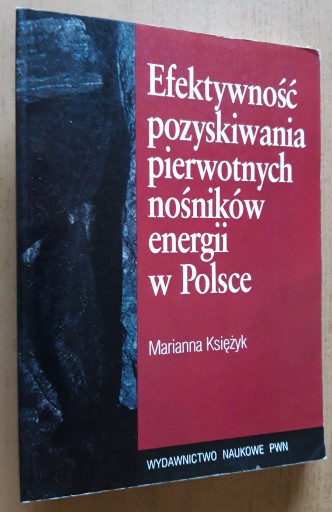 Zdjęcie oferty: Efektywność pozyskiwania pierwotnych nośników 