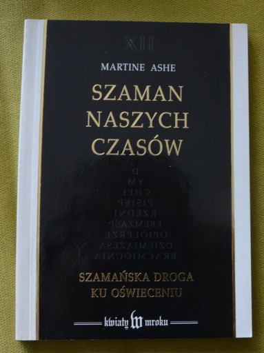 Zdjęcie oferty: Martin Ashe Szaman naszych czasów