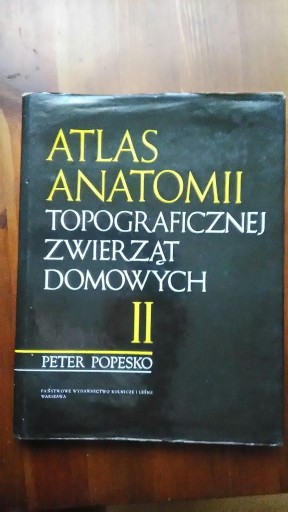 Zdjęcie oferty: Atlas Anatomii Topograficznej Zwierząt DomowychKsi