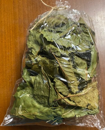 Zdjęcie oferty: Młode liście olchy czarnej suszone, Olcha czarna liść