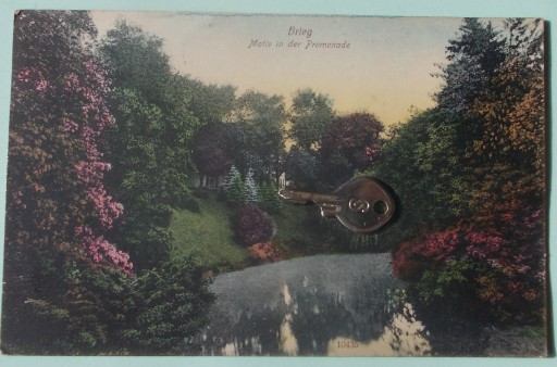 Zdjęcie oferty: 77) Brzeg,park,1918 