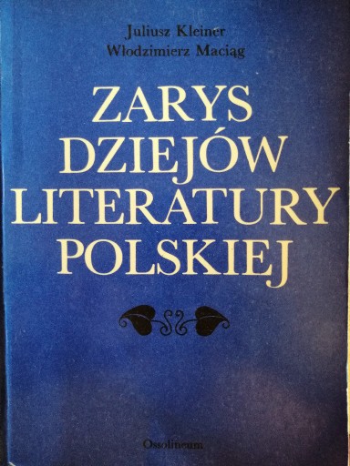 Zdjęcie oferty: Zarys dziejów literatury polskiej