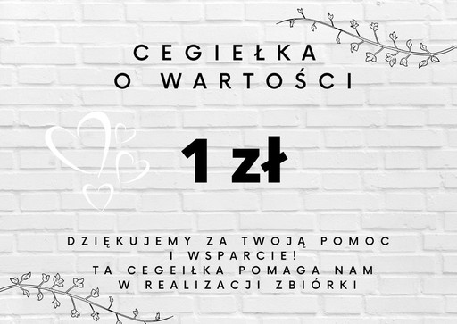 Zdjęcie oferty: Cegiełka na zbiórkę