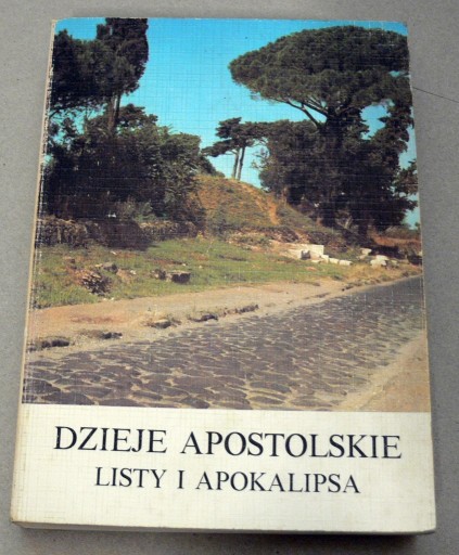 Zdjęcie oferty: DZIEJE APOSTOLSKIE  LISTY I APOKALIPSA