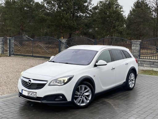 Zdjęcie oferty: Opel Insignia 2.0 /CROSS COUNTRY/Automat/OPC/FULL