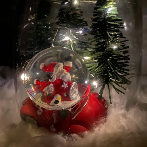 Zdjęcie oferty: las w słoiku święta / dekoracja na Boże Narodzenie