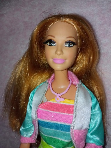 Zdjęcie oferty: Barbie Life in the Dreamhouse Summer  2013 Mattel
