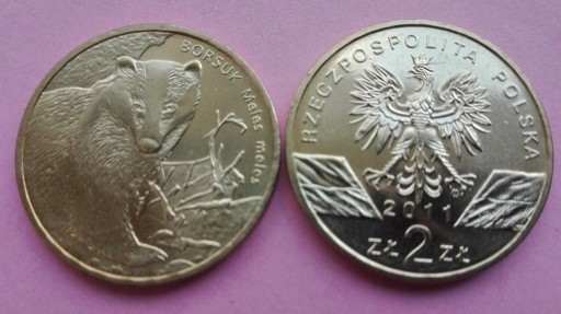 Zdjęcie oferty: 2 ZŁ 2011 R. BORSUK