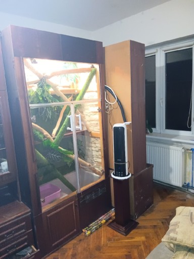 Zdjęcie oferty: sprzedam terrarium z legwanem