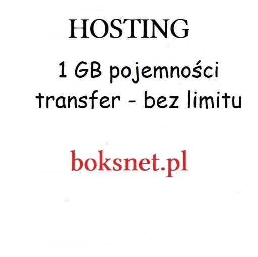 Zdjęcie oferty: Hosting 1 GB / rok