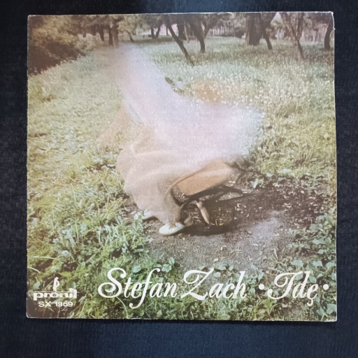 Zdjęcie oferty: Stefan Zach - Idę płyta winylowa