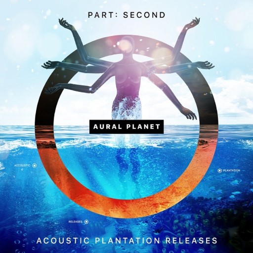 Zdjęcie oferty: Aural Planet-Part Second&Acoustic Plantation 2CD  