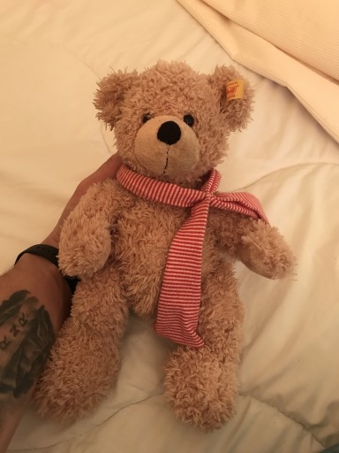 Zdjęcie oferty: Steiff Teddy Bear Fynn x Polo Bear