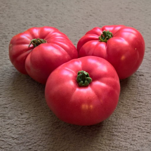 Zdjęcie oferty: Pomidor Malinowy Warszawski nasiona kolekcjonerski