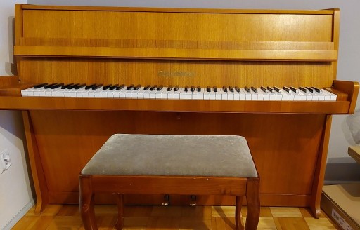 Zdjęcie oferty: Pianino Grotrian Steinweg stan bdb