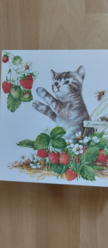 Zdjęcie oferty: Skrzyneczka ze ślicznym kotkiem i truskawkami 