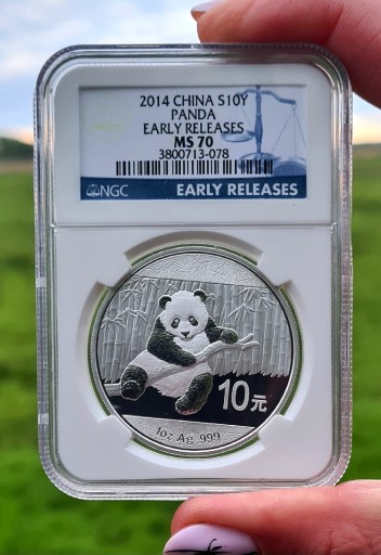 Zdjęcie oferty: Srebrna moneta 10 Yuan Chińska Panda 2014 NGC, 1oz
