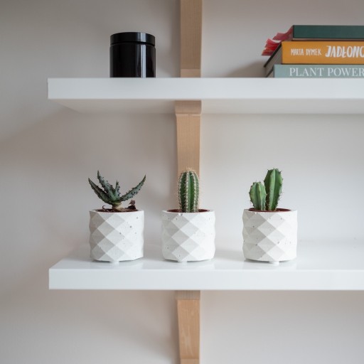 Zdjęcie oferty: 3 osłonki z kaktusem Zestaw Kakti biały