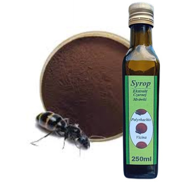Zdjęcie oferty: Syrop z mrówki czarnej 250 ml. 