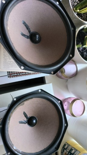 Zdjęcie oferty: PHILIPS AD 8061/W4 AD8061 205mm 4ohm vintage