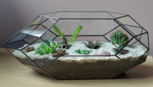 Zdjęcie oferty: Doniczka - terrarium - dla roślin i dekoru. 