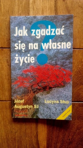 Zdjęcie oferty: Jak zgadzać się na własne życie