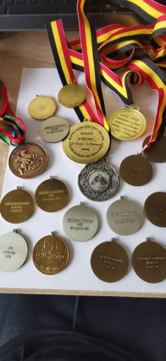Zdjęcie oferty: Medale jeździeckie Belgia 