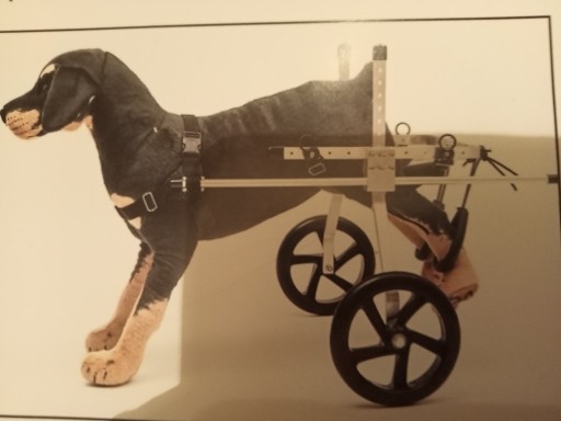 Zdjęcie oferty: wózek inwalidzki dla psa