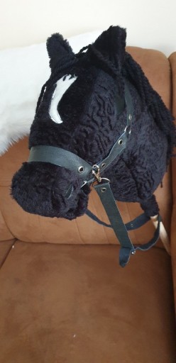 Zdjęcie oferty: Hobby horse kon na kiju