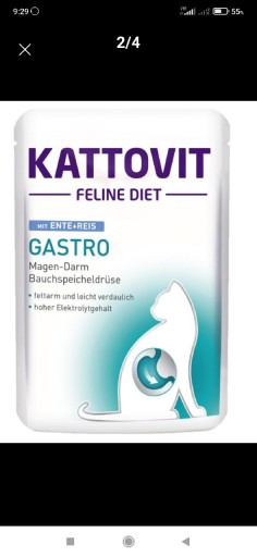 Zdjęcie oferty: Katovitt gastro saszetki 12szt