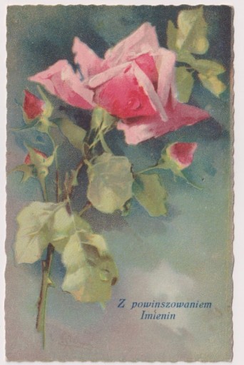 Zdjęcie oferty: C,Klein RÓŻA Kwiaty 1930r.  do Zabrzyce Polesie  