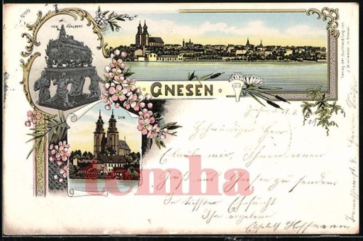 Zdjęcie oferty: GNIEZNO Gnesen panorama katedra 1901