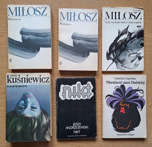 Zdjęcie oferty: 29 książek  Liter polska albumy poradniki słowniki