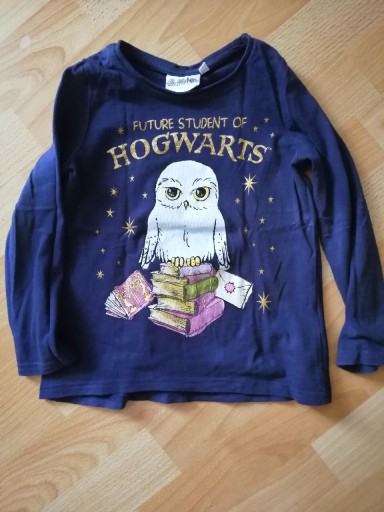 Zdjęcie oferty: Bluzka z długim rękawem Harry Potter 110