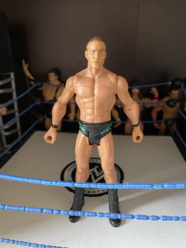 Zdjęcie oferty: Unikat figurka interaktywna WWE MATTEL RANDY ORTON