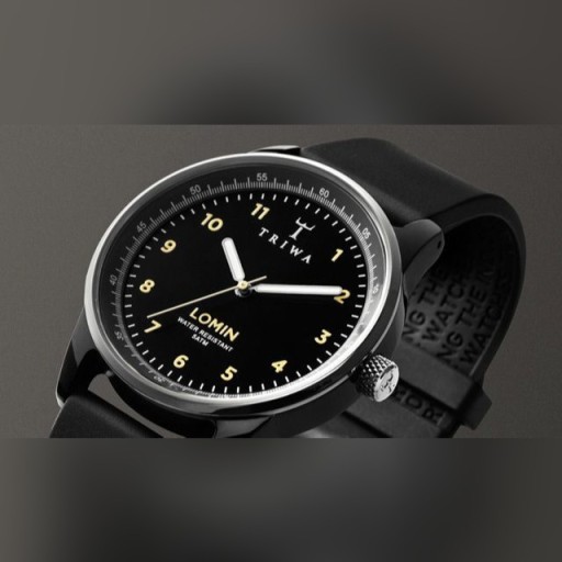Zdjęcie oferty: Skandynawska marka zegarek unisex TRIWA LOAC102-R