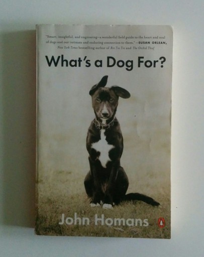Zdjęcie oferty: What's a Dog For? John Homans
